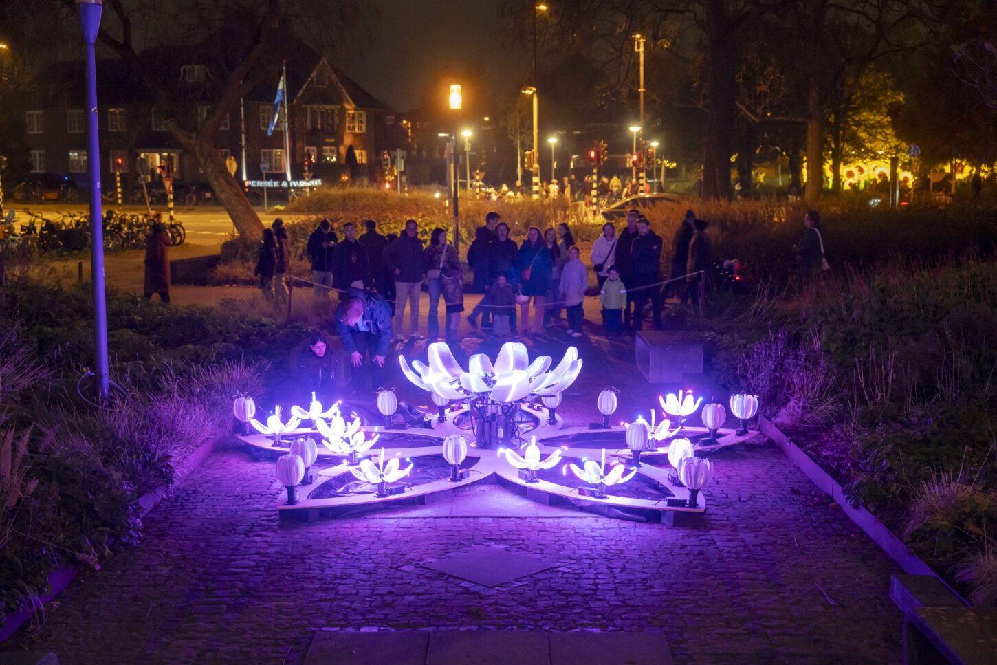 Garden of Flowers | Fontys BeCreative