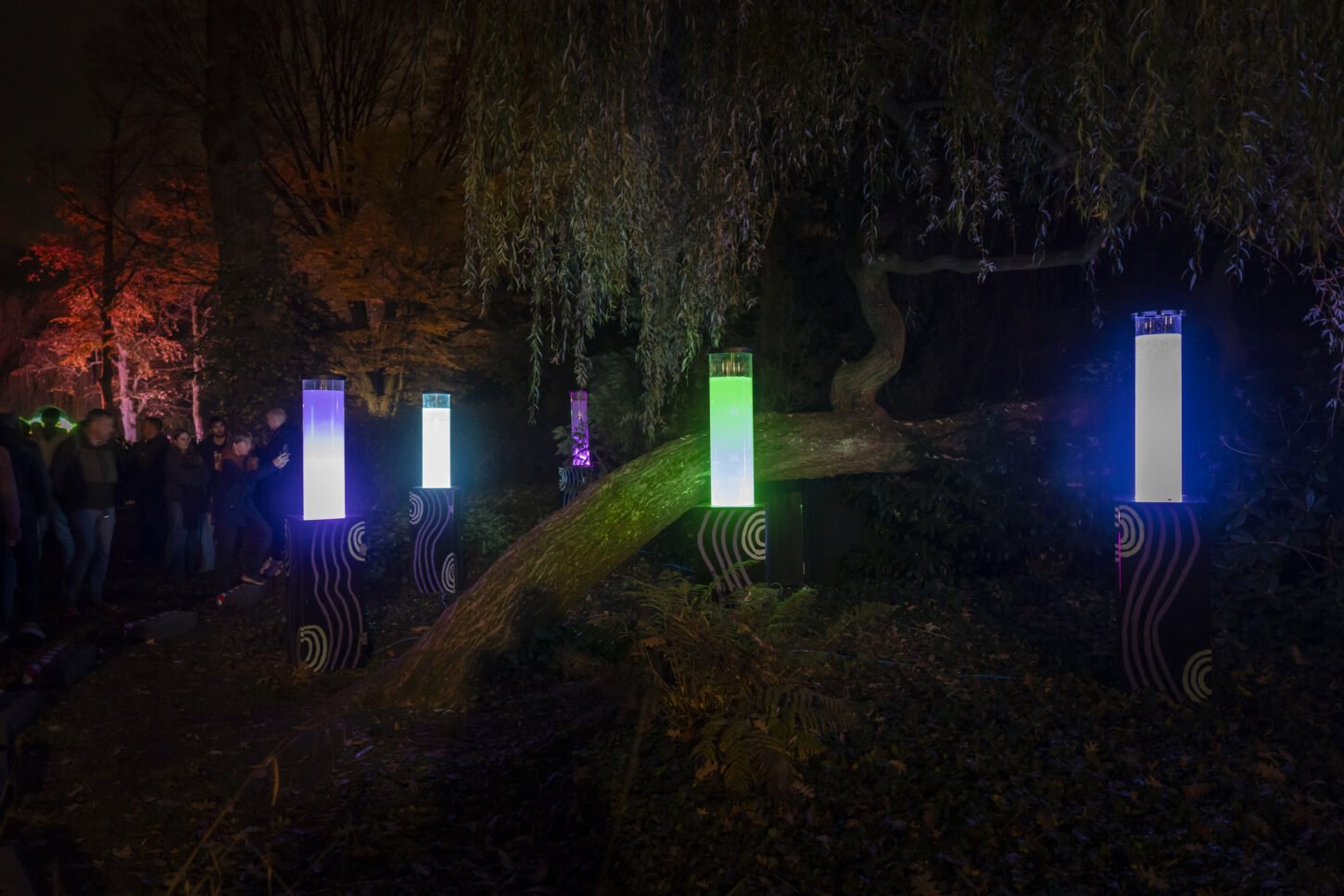 Nebula | Students SintLucas